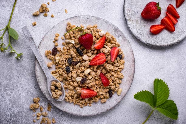تصویر 4 از خرید و قیمت گرانولا وگان بری گیاه خواری + فروش عمده